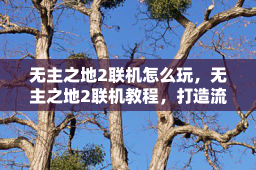 无主之地2联机怎么玩，无主之地2联机教程，打造流畅游戏体验