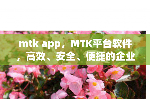 mtk app，MTK平台软件，高效、安全、便捷的企业级解决方案