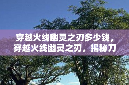 穿越火线幽灵之刃多少钱，穿越火线幽灵之刃，揭秘刀锋战士的传奇之路