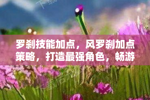 罗刹技能加点，风罗刹加点策略，打造最强角色，畅游奇幻世界