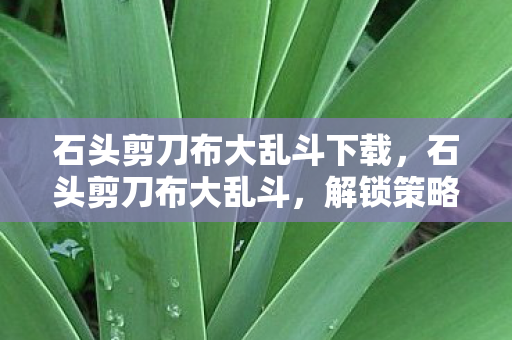 石头剪刀布大乱斗下载，石头剪刀布大乱斗，解锁策略与趣味挑战