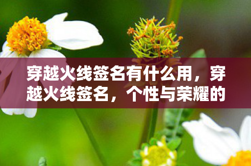 穿越火线签名有什么用，穿越火线签名，个性与荣耀的展现