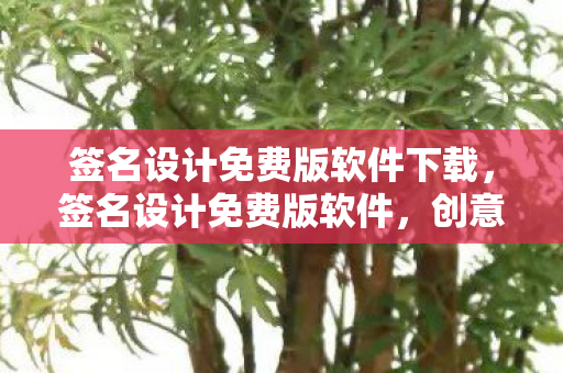 签名设计免费版软件下载，签名设计免费版软件，创意与便捷的完美结合