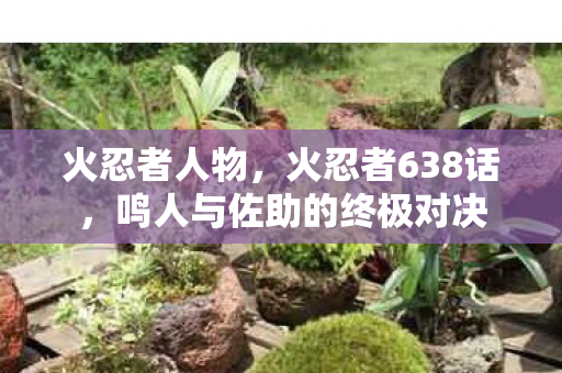 火忍者人物，火忍者638话，鸣人与佐助的终极对决