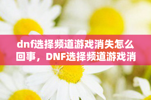 dnf选择频道游戏消失怎么回事，DNF选择频道游戏消失，一场意外的虚拟世界变革