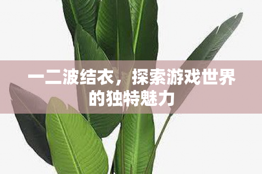 一二波结衣，探索游戏世界的独特魅力