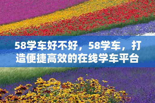58学车好不好，58学车，打造便捷高效的在线学车平台