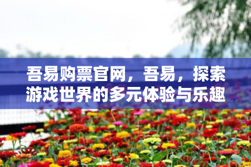 吾易购票官网，吾易，探索游戏世界的多元体验与乐趣