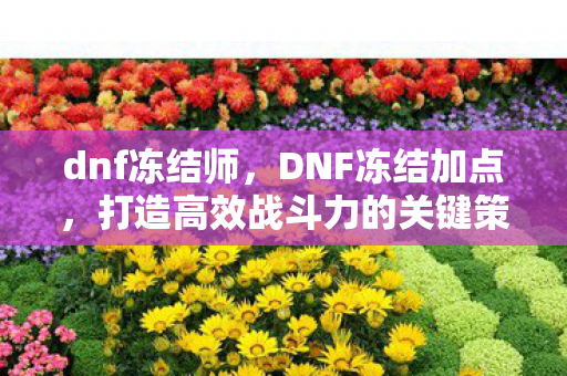 dnf冻结师，DNF冻结加点，打造高效战斗力的关键策略