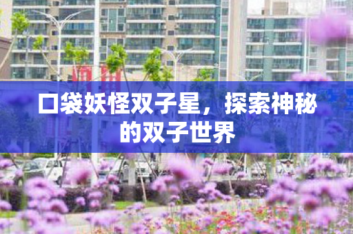 口袋妖怪双子星，探索神秘的双子世界