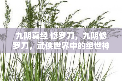 九阴真经 修罗刀，九阴修罗刀，武侠世界中的绝世神兵