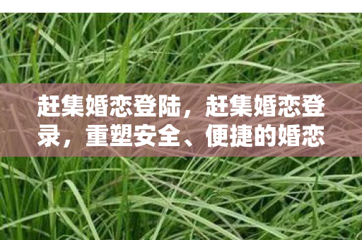 赶集婚恋登陆，赶集婚恋登录，重塑安全、便捷的婚恋交友新体验