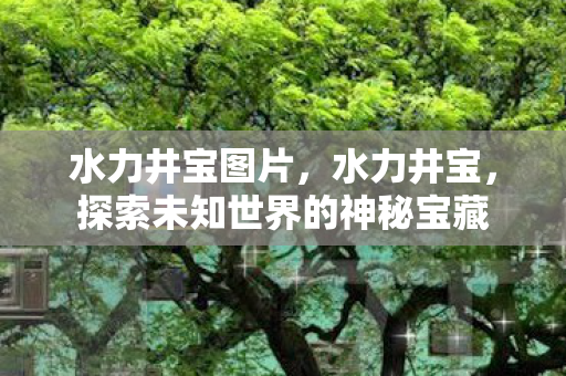 水力井宝图片，水力井宝，探索未知世界的神秘宝藏