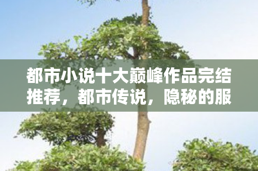 都市小说十大巅峰作品完结推荐，都市传说，隐秘的服务器