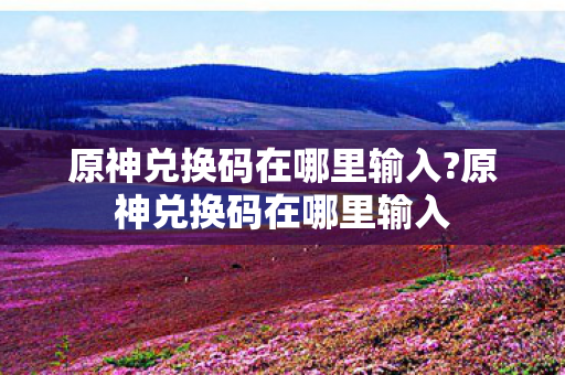 原神兑换码在哪里输入?原神兑换码在哪里输入