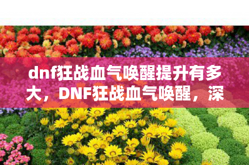 dnf狂战血气唤醒提升有多大，DNF狂战血气唤醒，深度解析与实战应用