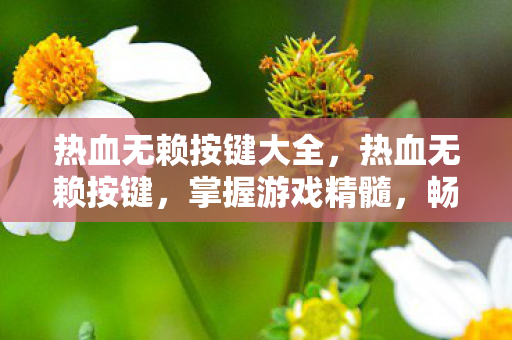 热血无赖按键大全，热血无赖按键，掌握游戏精髓，畅享操作快感