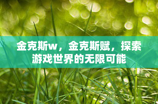 金克斯w，金克斯赋，探索游戏世界的无限可能