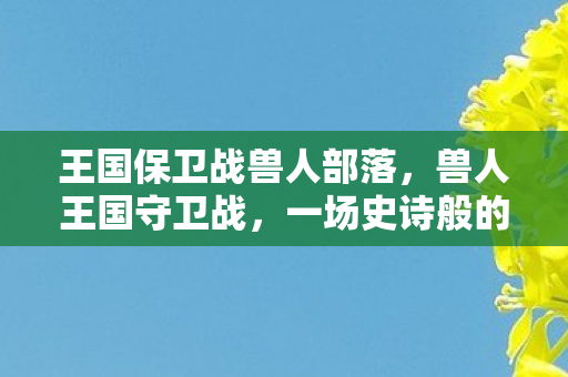 王国保卫战兽人部落，兽人王国守卫战，一场史诗般的冒险与荣耀
