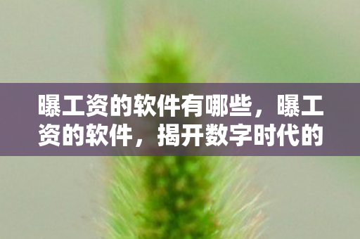 曝工资的软件有哪些，曝工资的软件，揭开数字时代的薪酬秘密