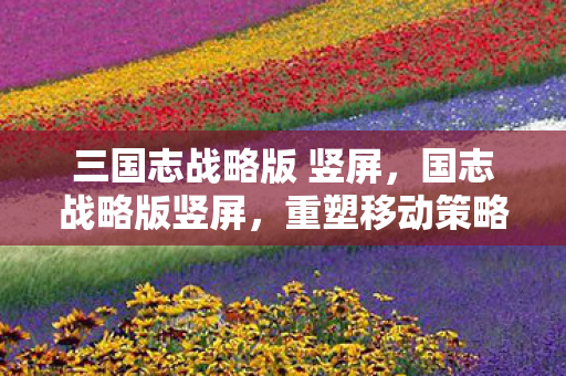 三国志战略版 竖屏，国志战略版竖屏，重塑移动策略游戏的视觉盛宴