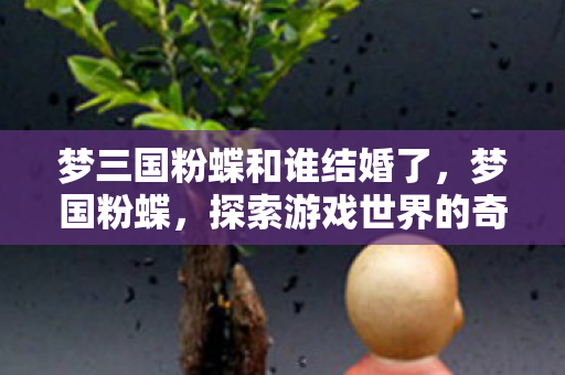 梦三国粉蝶和谁结婚了，梦国粉蝶，探索游戏世界的奇幻之旅