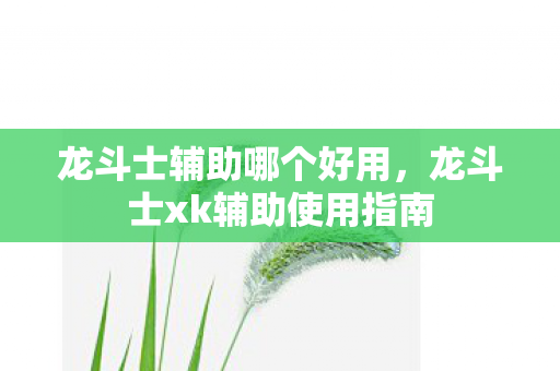 龙斗士辅助哪个好用，龙斗士xk辅助使用指南