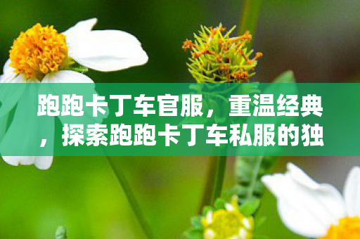 跑跑卡丁车官服，重温经典，探索跑跑卡丁车私服的独特魅力