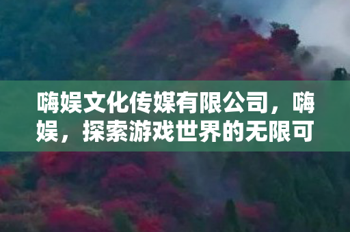 嗨娱文化传媒有限公司，嗨娱，探索游戏世界的无限可能