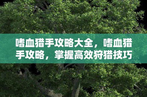 嗜血猎手攻略大全，嗜血猎手攻略，掌握高效狩猎技巧，提升游戏胜率