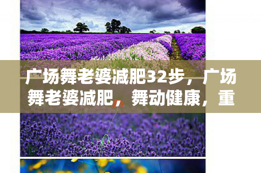 广场舞老婆减肥32步，广场舞老婆减肥，舞动健康，重塑美好身材