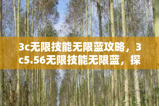 3c无限技能无限蓝攻略，3c5.56无限技能无限蓝，探索游戏世界的无限可能