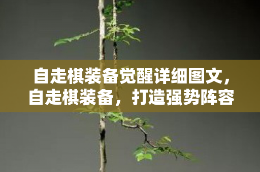 自走棋装备觉醒详细图文，自走棋装备，打造强势阵容的秘诀