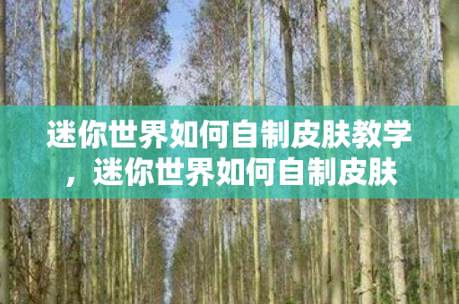 迷你世界如何自制皮肤教学，迷你世界如何自制皮肤