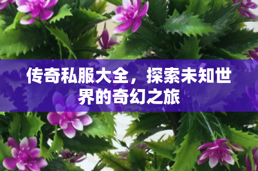 传奇私服大全，探索未知世界的奇幻之旅