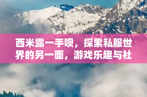 西米露一手呗，探索私服世界的另一面，游戏乐趣与社区文化的交织
