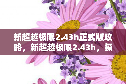 新超越极限2.43h正式版攻略，新超越极限2.43h，探索游戏速度的新境界