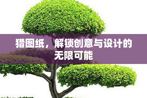 猎图纸，解锁创意与设计的无限可能