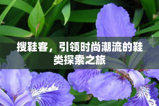 搜鞋客，引领时尚潮流的鞋类探索之旅