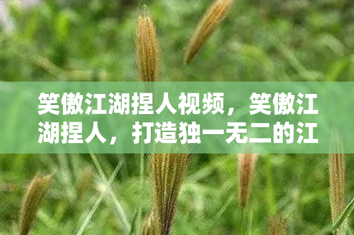 笑傲江湖捏人视频，笑傲江湖捏人，打造独一无二的江湖角色
