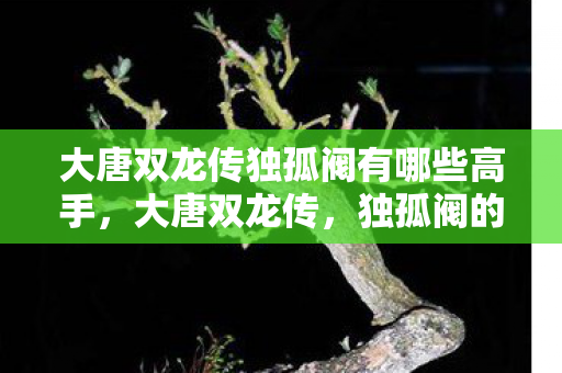 大唐双龙传独孤阀有哪些高手，大唐双龙传，独孤阀的兴衰与传奇