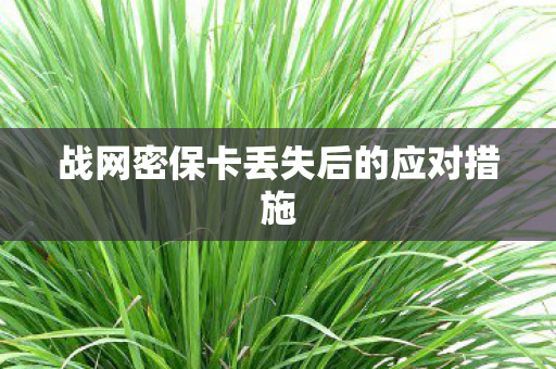 战网密保卡丢失后的应对措施 战网密保卡丢失后的应对措施