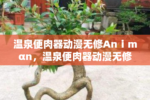 温泉便肉器动漫无修Anⅰmαn，温泉便肉器动漫无修，探索未知世界的奇幻之旅