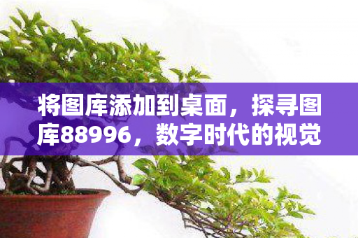 将图库添加到桌面，探寻图库88996，数字时代的视觉盛宴与创意宝藏