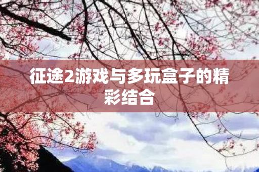 征途2游戏与多玩盒子的精彩结合