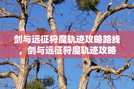 剑与远征狩魔轨迹攻略路线，剑与远征狩魔轨迹攻略