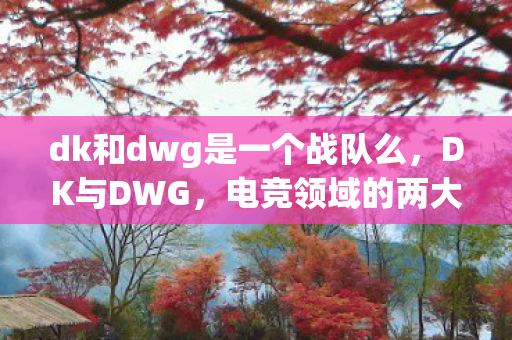 dk和dwg是一个战队么，DK与DWG，电竞领域的两大巨头，谁将主宰未来？