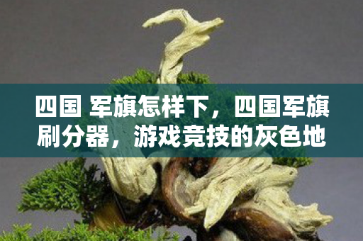 四国 军旗怎样下，四国军旗刷分器，游戏竞技的灰色地带