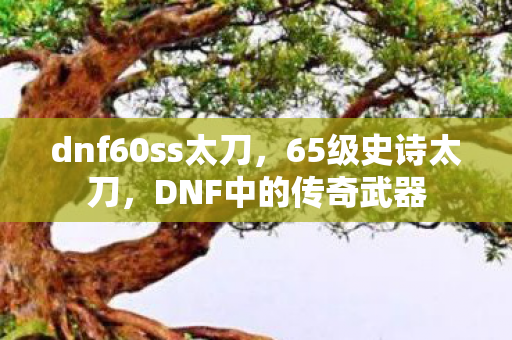 dnf60ss太刀，65级史诗太刀，DNF中的传奇武器