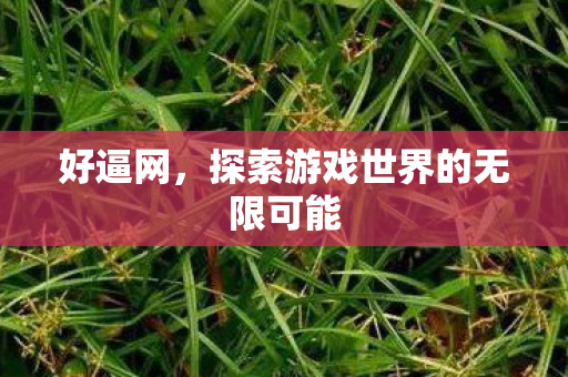 好逼网，探索游戏世界的无限可能